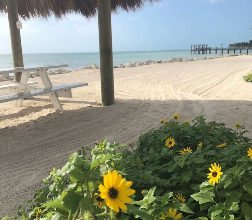 Set foot on the powdery, white sand beach and enjoy the floral delights of beautiful landscaping.