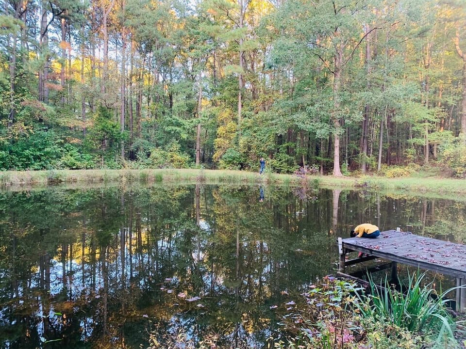 Pond
