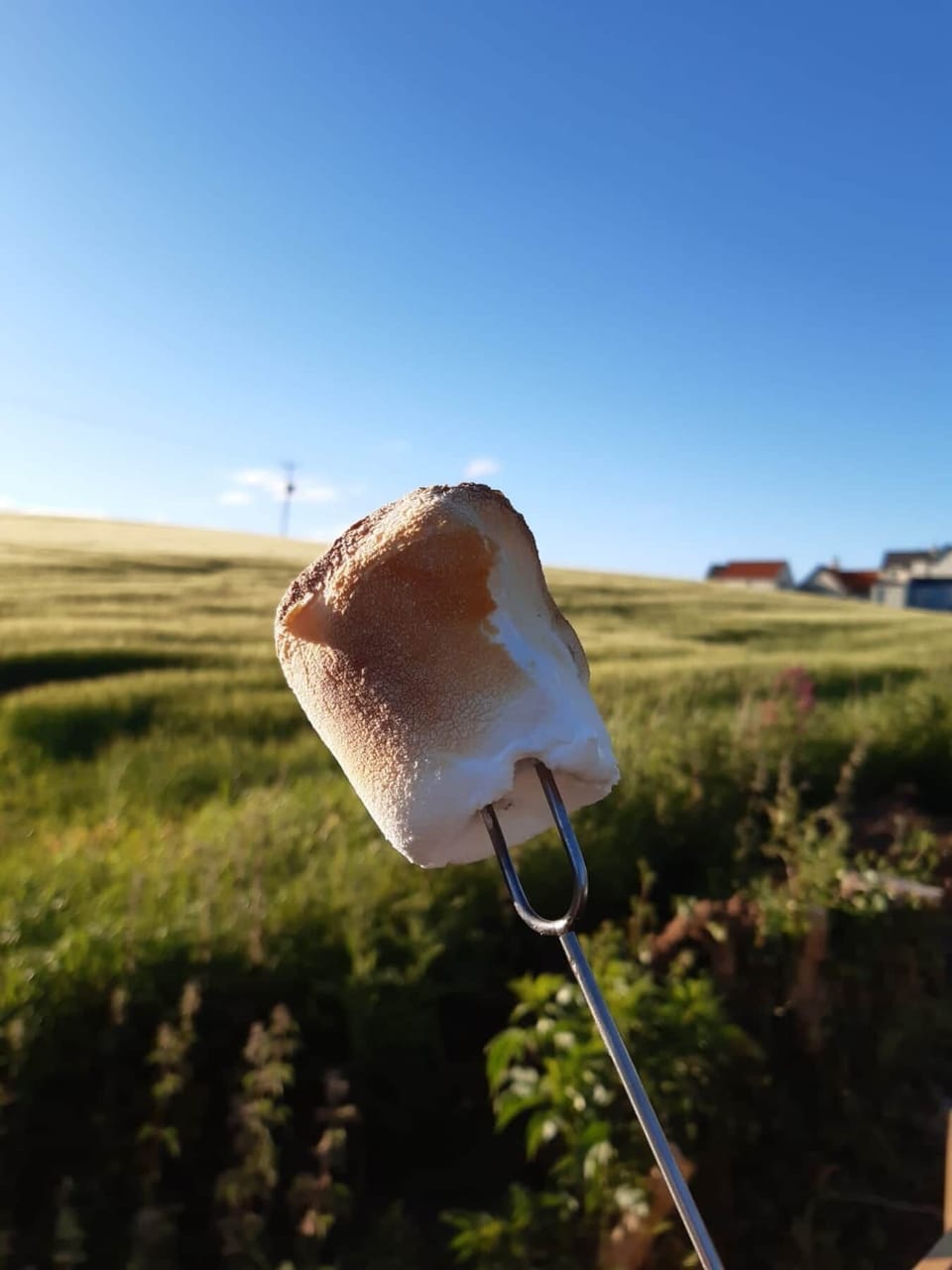 Toasted marshmallows