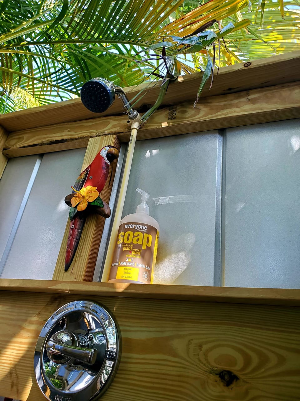 Enjoy abundant hot water, palm tree views & complementary shampoo / body wash