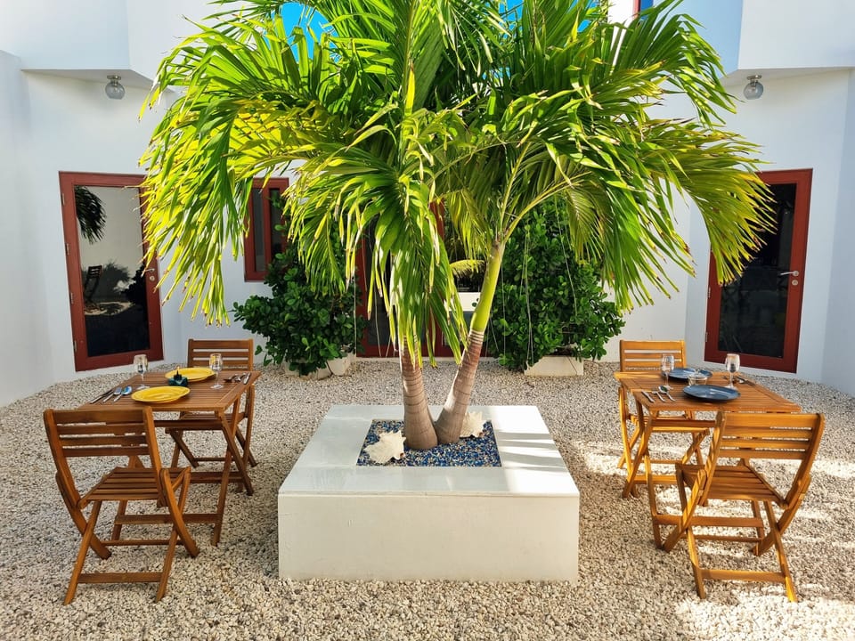 Courtyard - Enjoy Meals Outdoor in the Sun