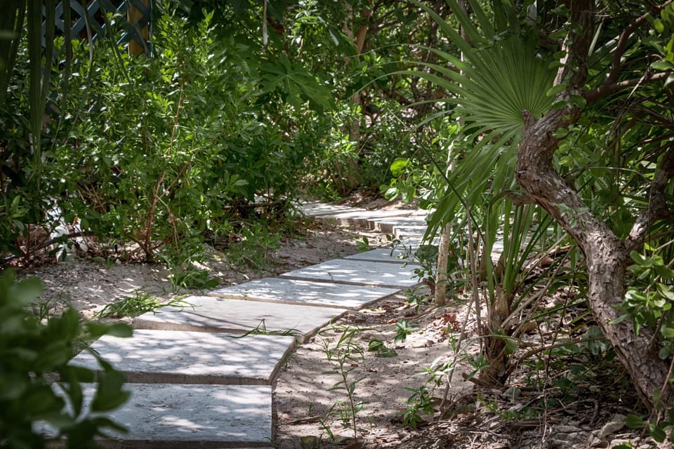 A brief pathway leads you directly to the pristine beach, offering convenient access to the sun, sand, and surf