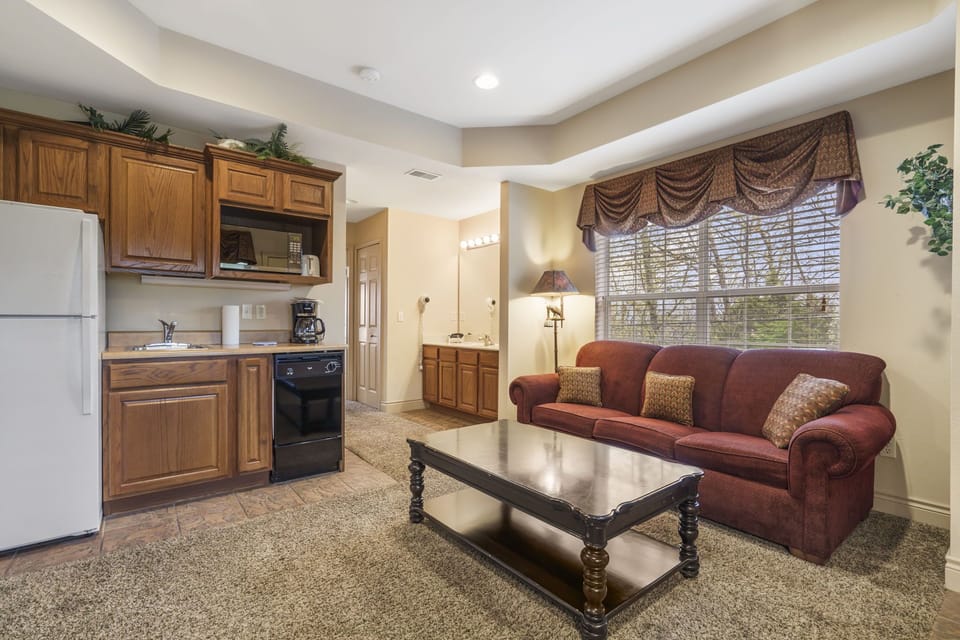 Living Area - Kitchenette