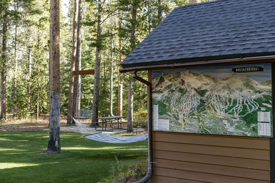 Relax in the back yard under the pine canopy