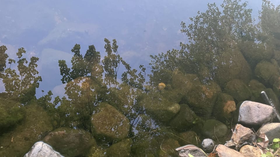 Clear water