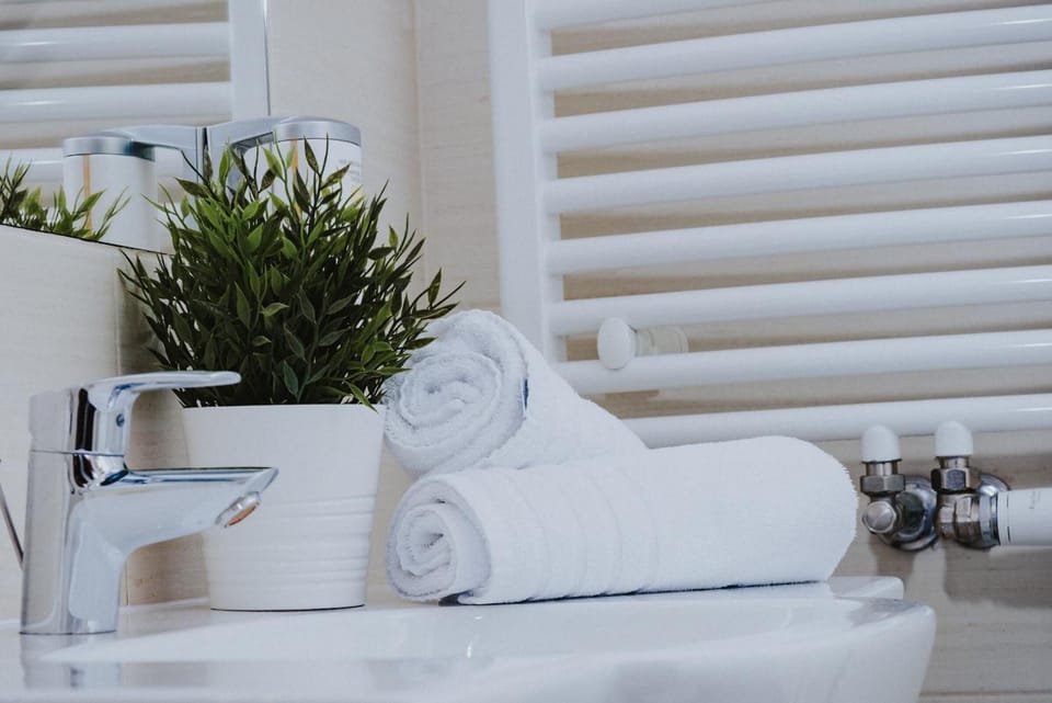 Shower, free toiletries, hair dryer, towels