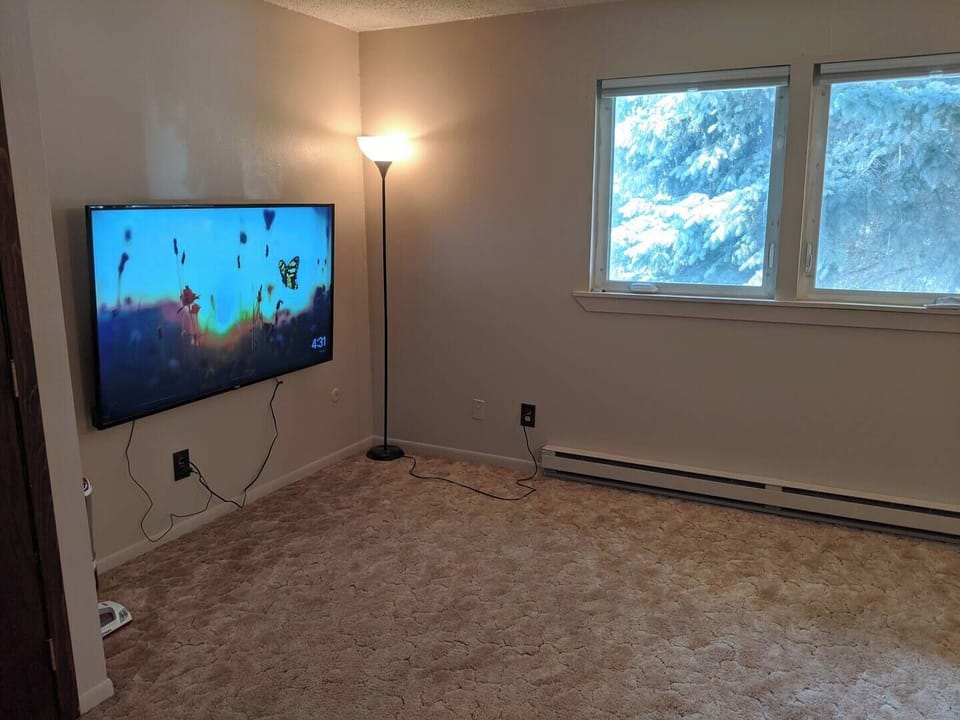 Living room TV with shades open