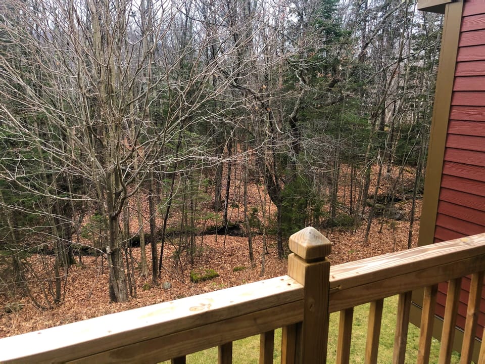 View from balcony