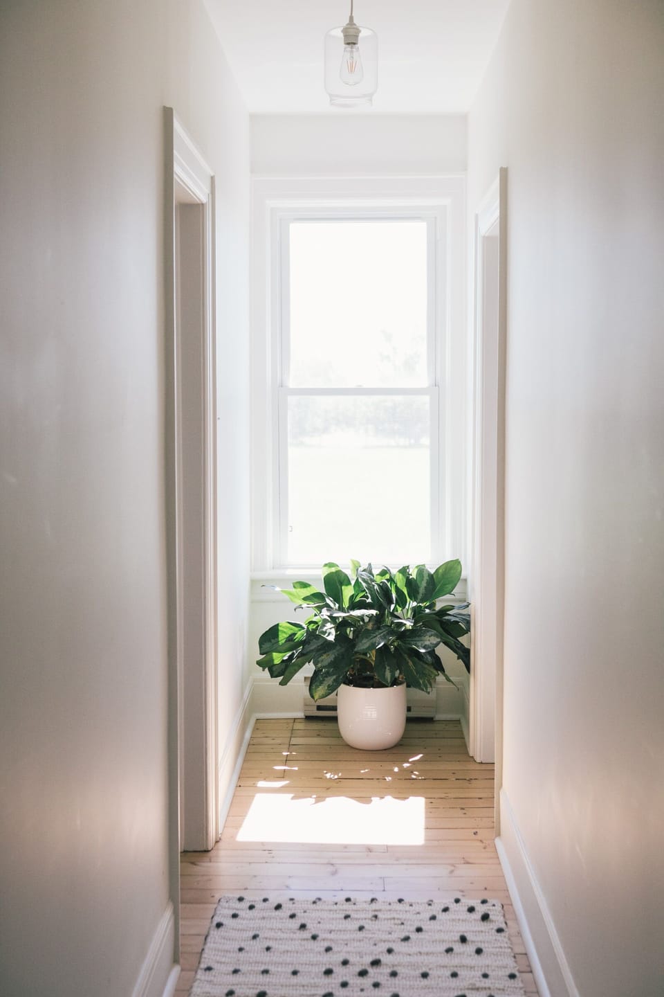 The Farmhouse - Prince Edward County | Welcome to the Dans