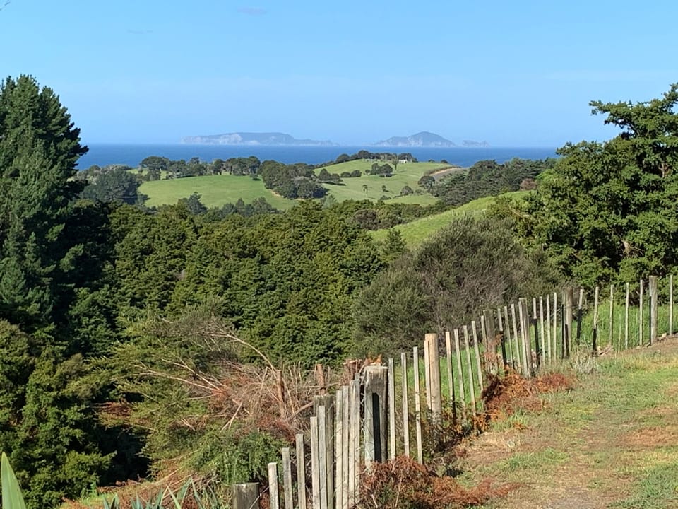 The Poor Knights Islands come in view on the private access road to Tui Cottage