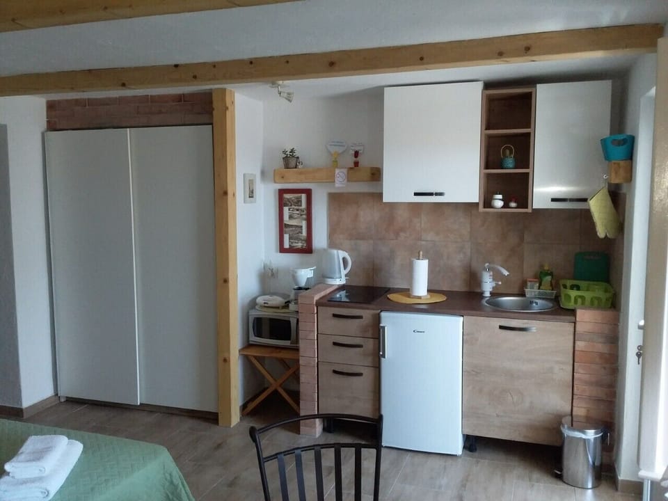 Studio (Studio Apartment) | Private kitchenette | Fridge, microwave, electric kettle, cookware/dishes/utensils