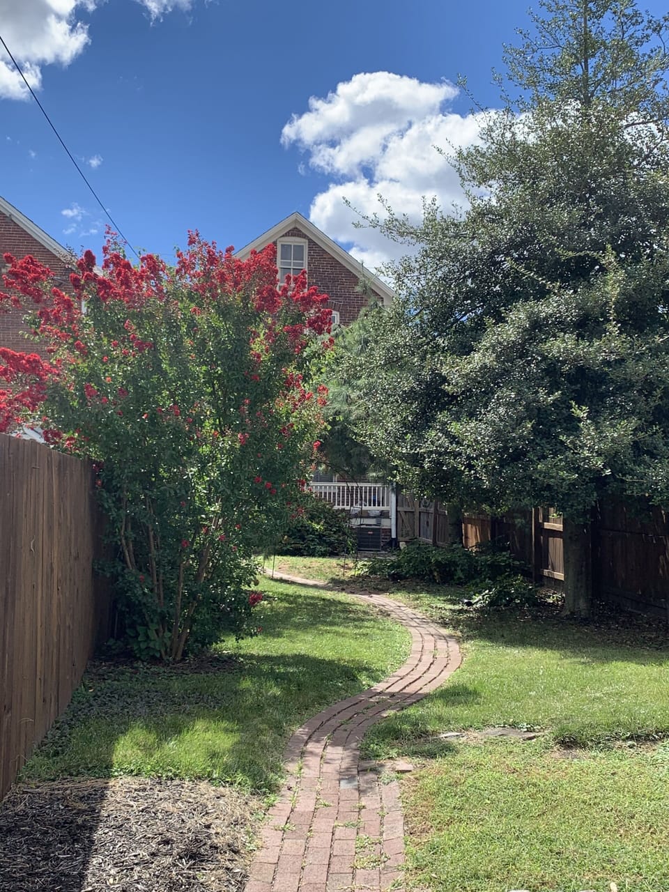 Backyard in bloom, all spring, summer, and early fall. 