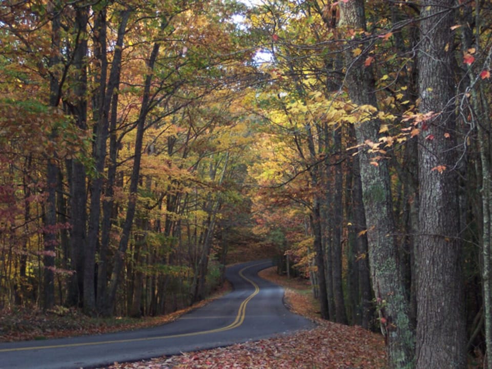 Fall on road to cabin