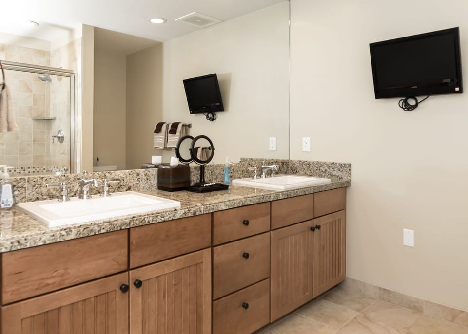 Master Bathroom TV