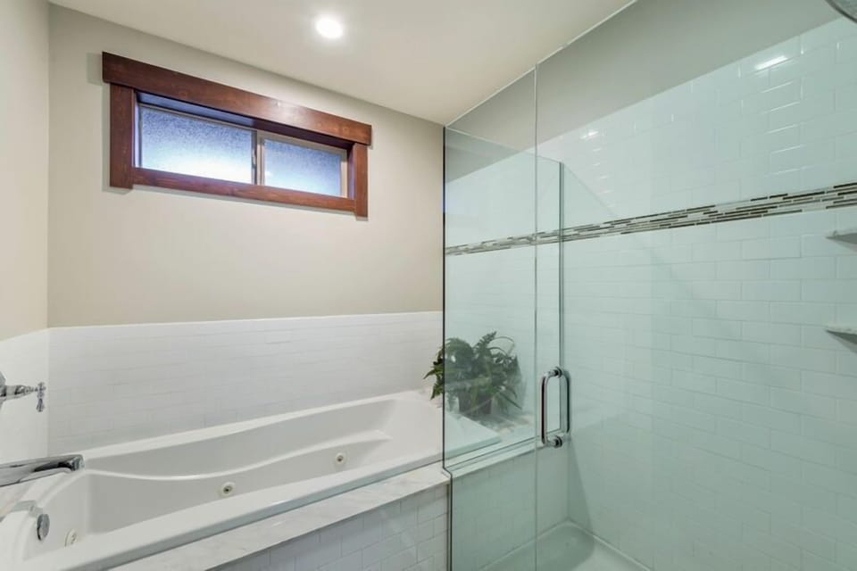 Master shower and jetted tub