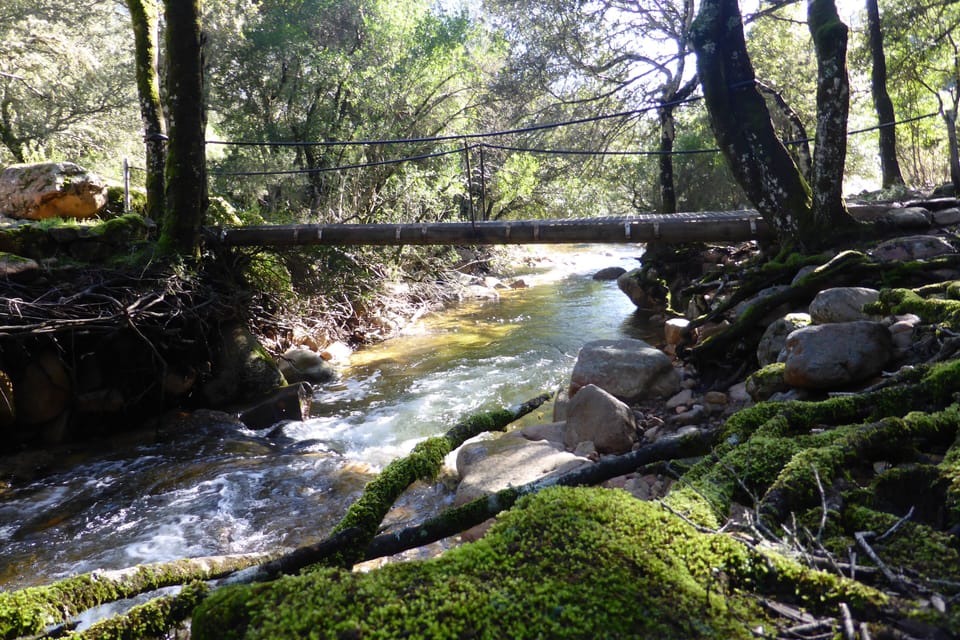 Apartment | Property grounds