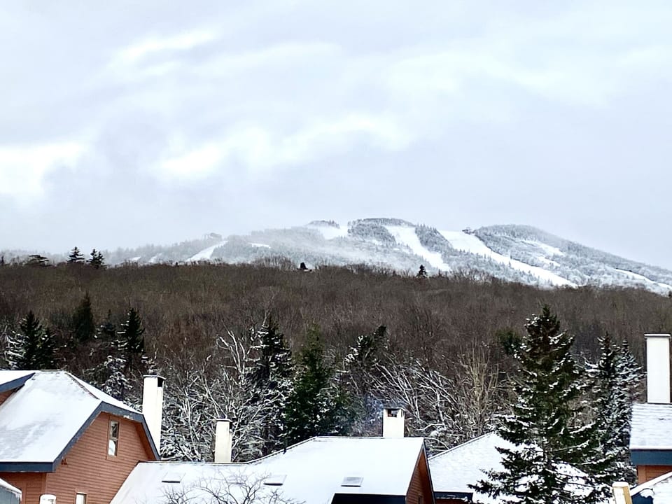 Gorgeous Mountain Views from our living room/dining room.