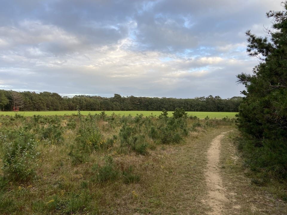 Picturesque Sherriff's Meadow Foundation field behind house