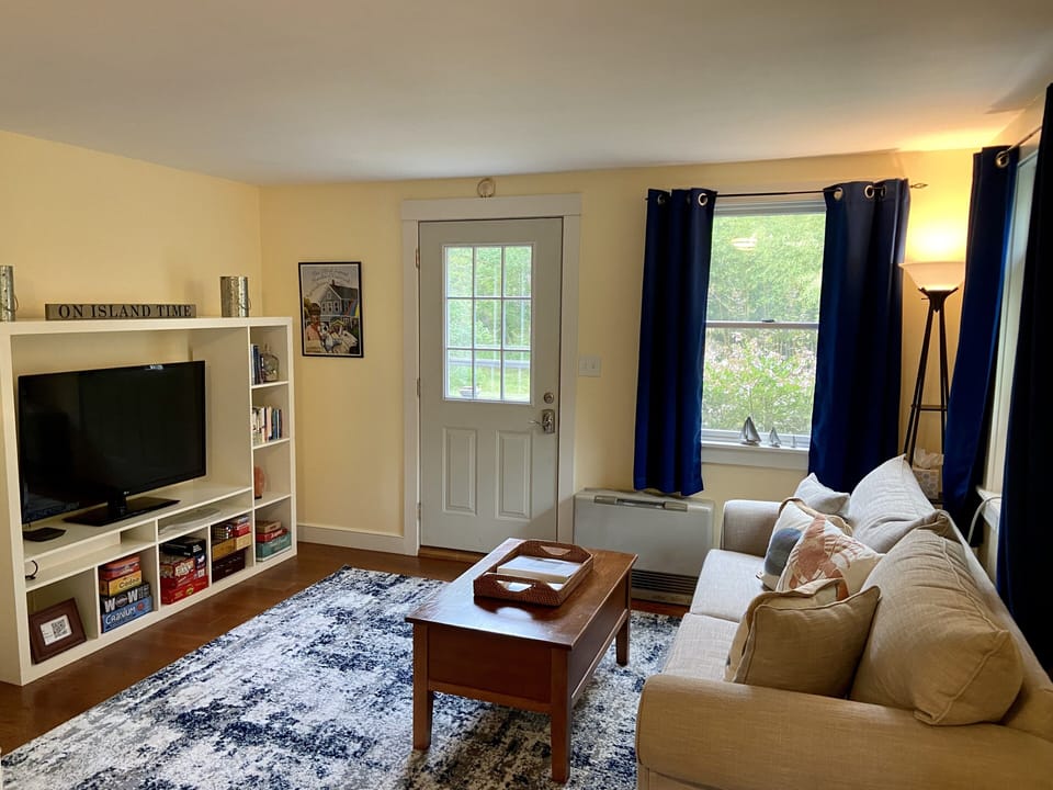 Living room with pullout couch 