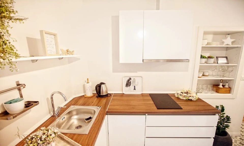 Standard Apartment | Private kitchen | Full-size fridge, microwave, stovetop, dishwasher