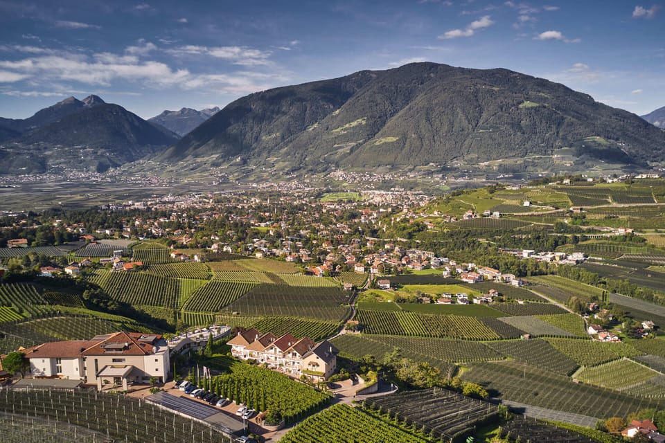 Ausblick über Meran und die Südtiroler Berge