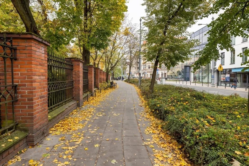 Green area by the street.