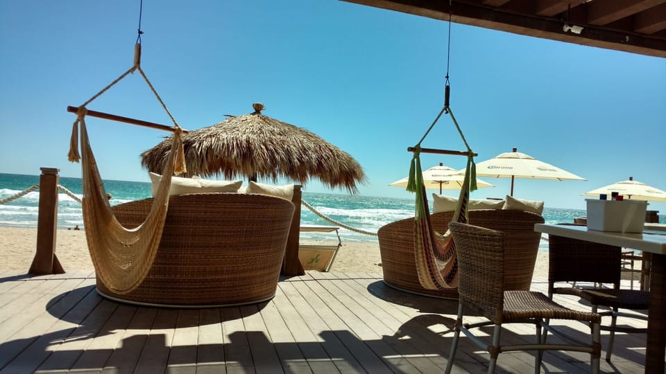hammock chairs at the Tiki Bar