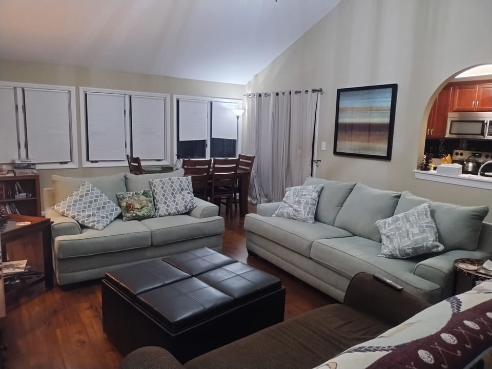 Living Room new couches
