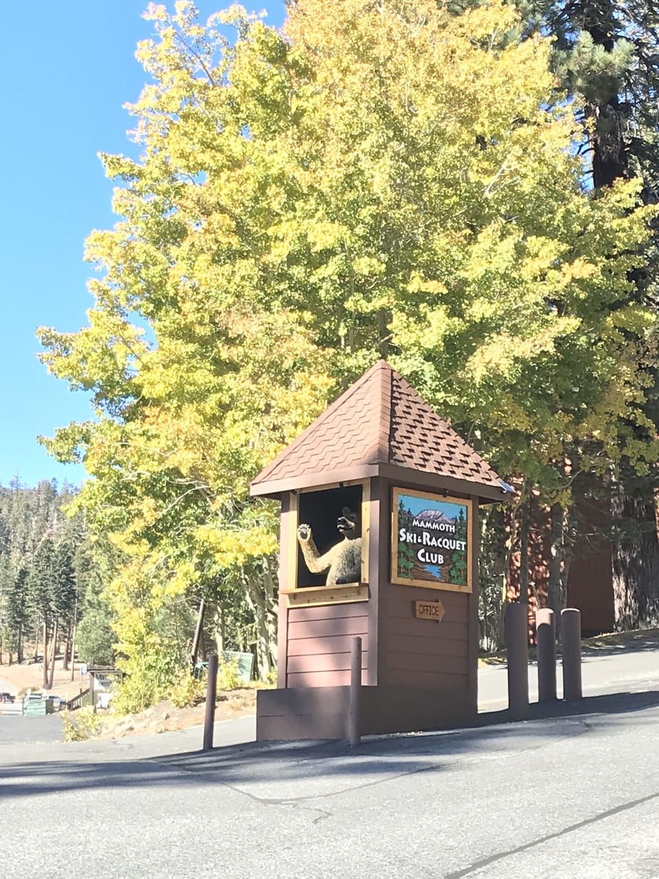 Entry driveway - Bear in guardshack