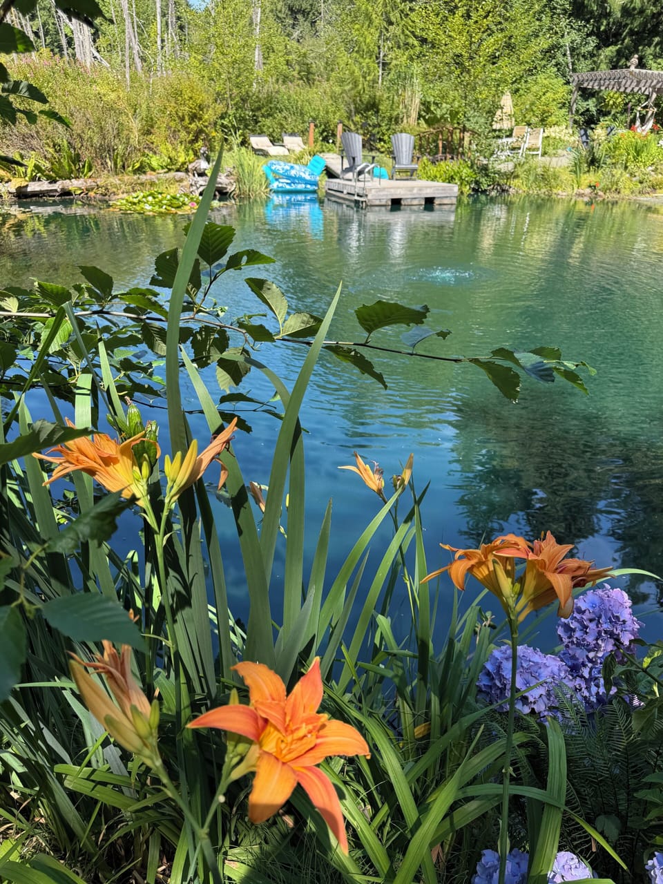 Hidden Pond is perfect for swimming!