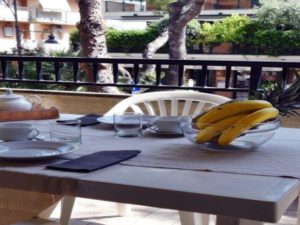 Table, Furniture, Tableware, Plant, Wood, Outdoor Table, Outdoor Furniture, Window, Chair, Tree