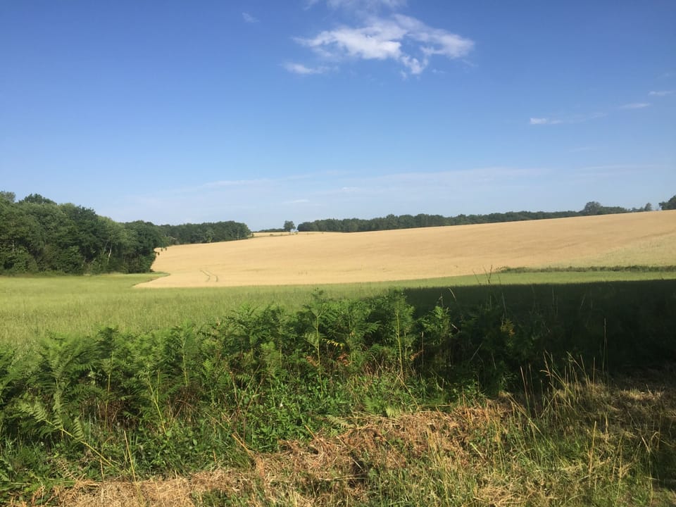 Image 24