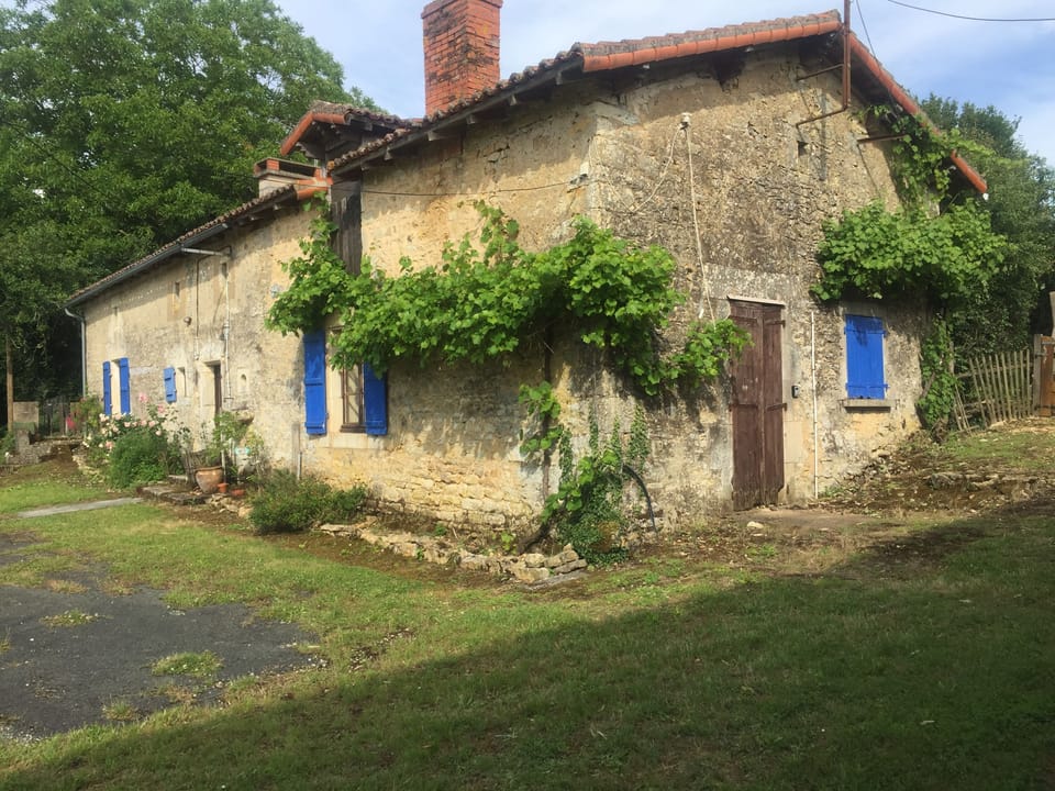 Image 6
