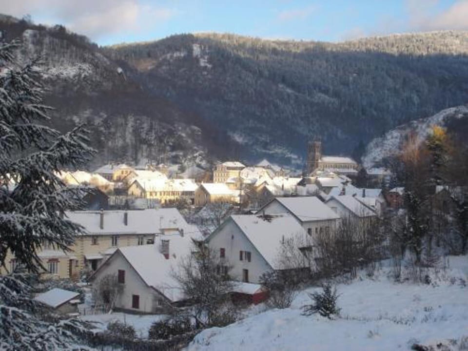 Areal view
