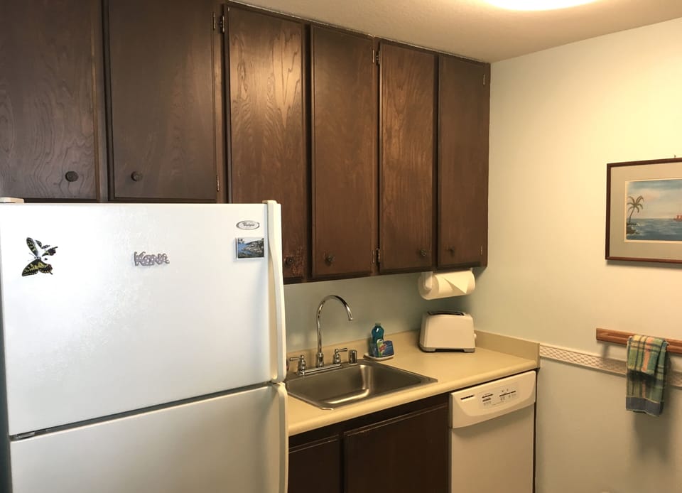 Large and small appliances needed for
a quick meal or the island cook in you.