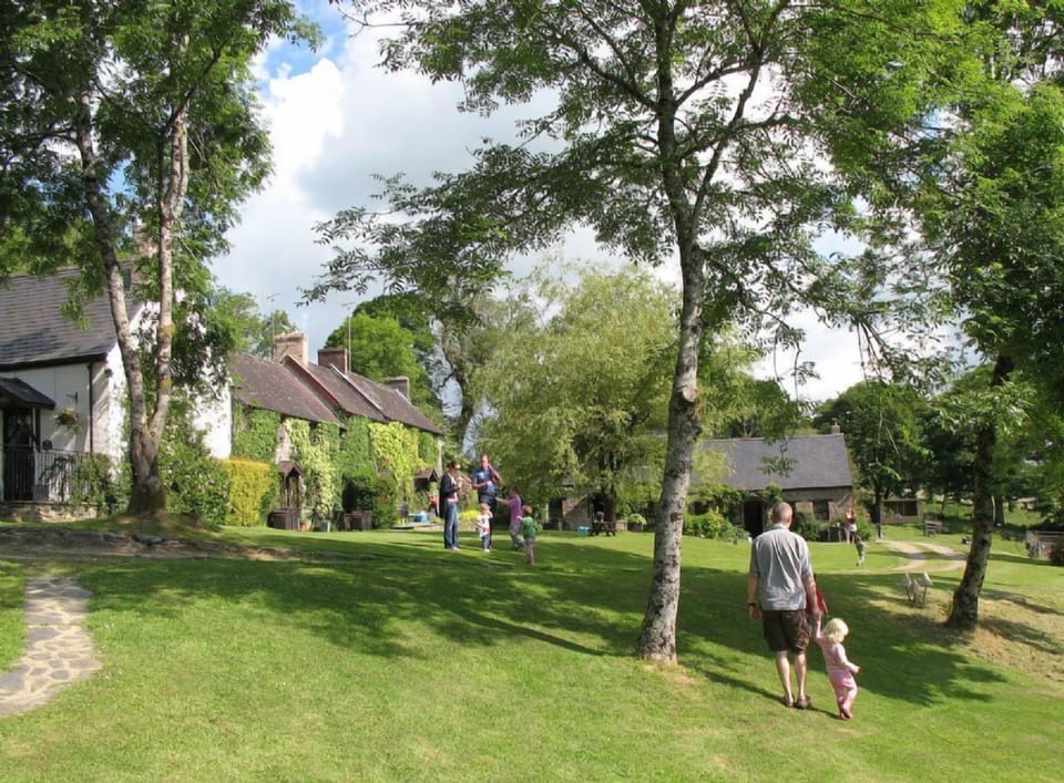 Clydey Main Lawns