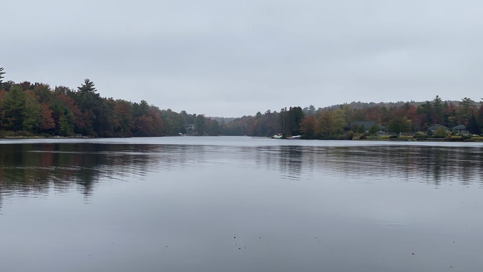 View from lake frontage