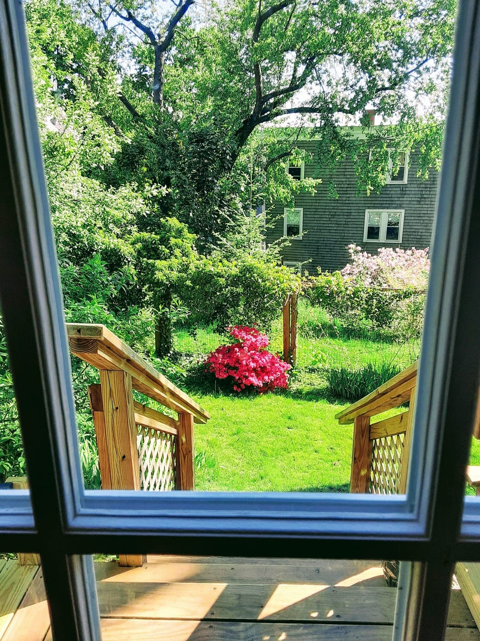 View from conservatory into back garden