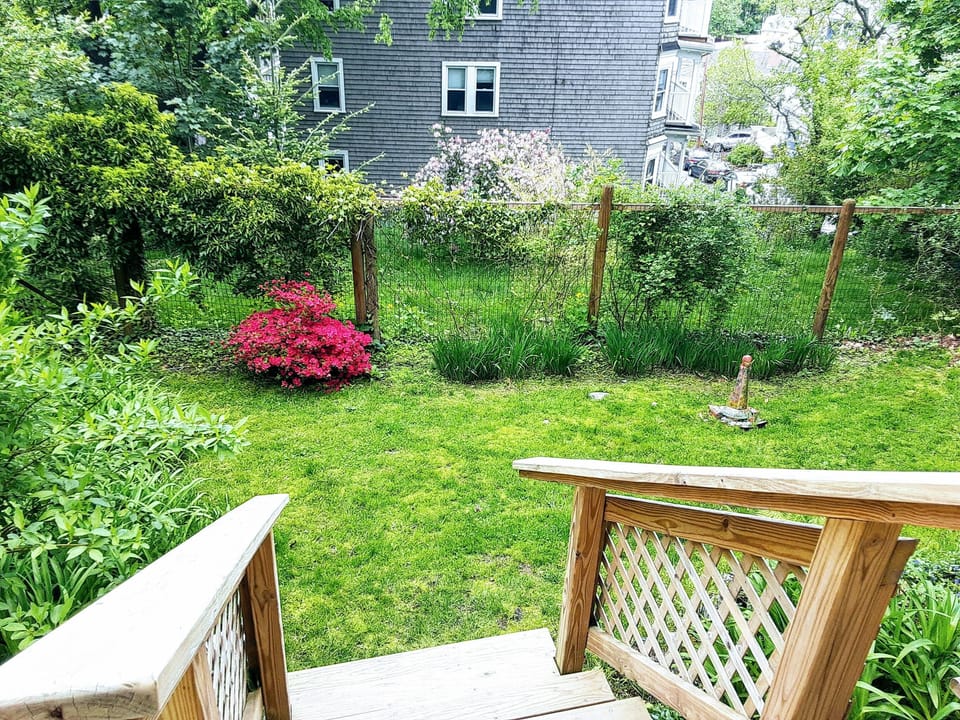 Steps into back garden
