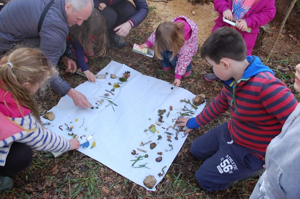 Woodland Adventures finding out