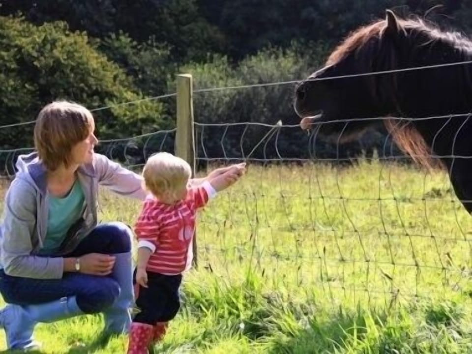 Animal Feeding