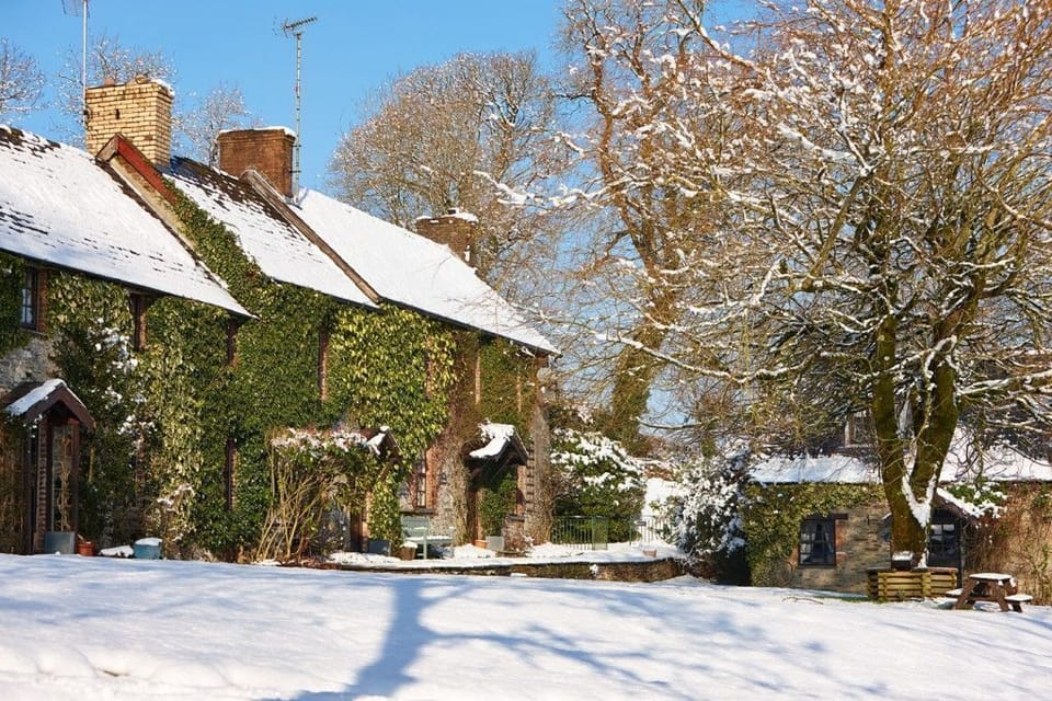 Clydey In The Snow