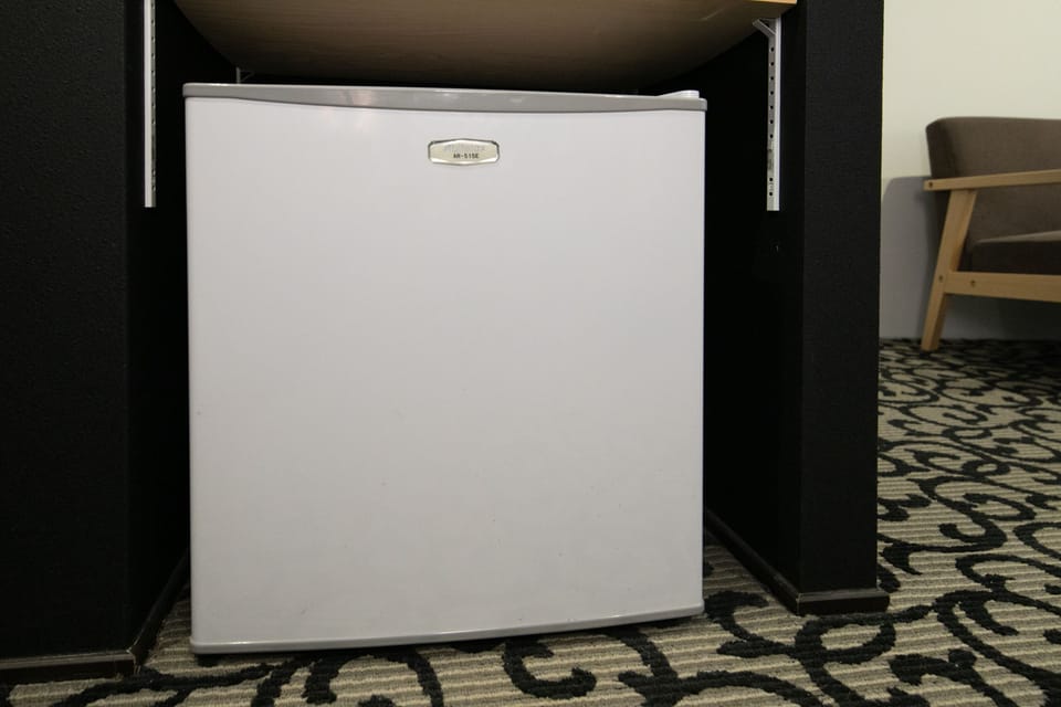 Mini-refrigerator