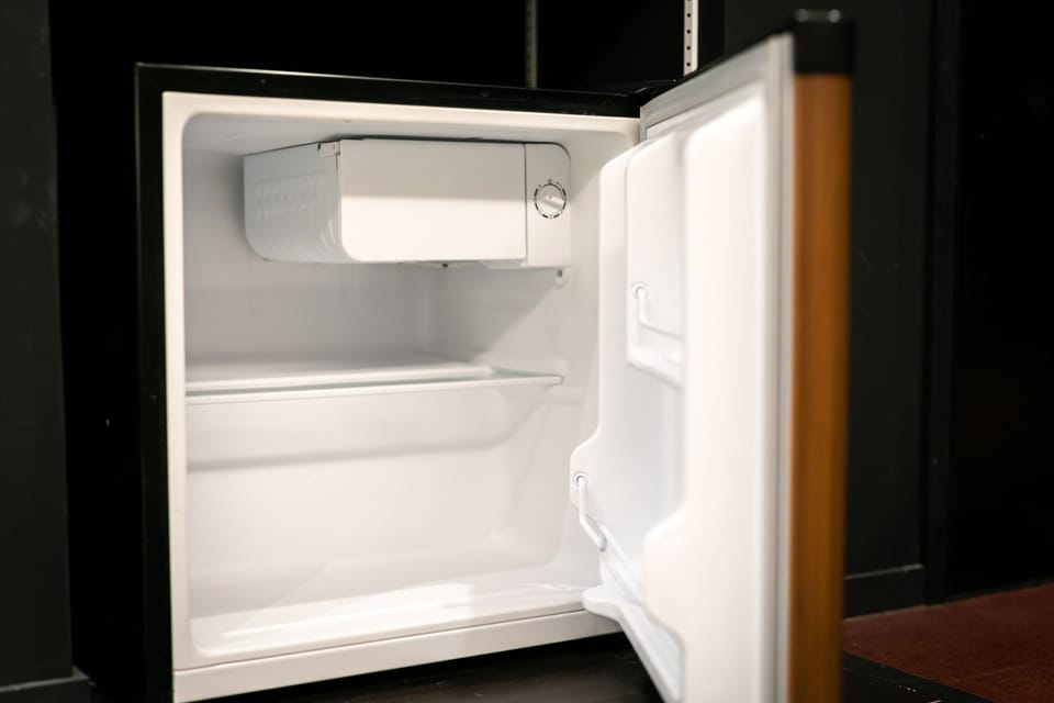 Mini-refrigerator