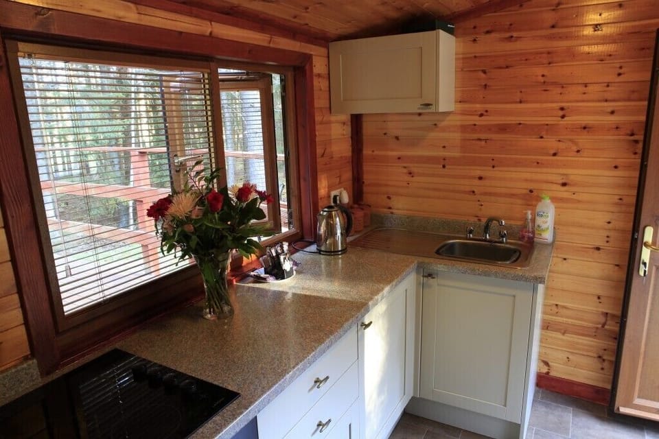 Woodcutters Cabin | Private kitchen | Fridge, microwave, oven, stovetop
