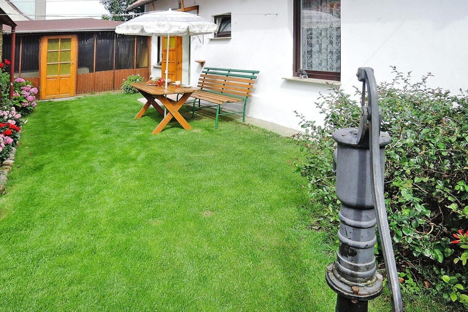 Garden [summer]