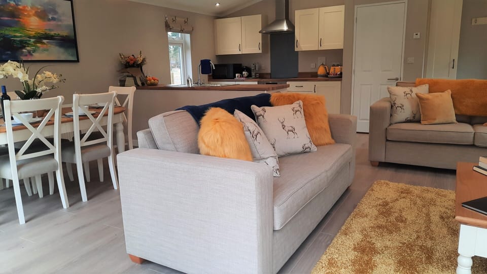 Luxury Apartment, Ensuite (With Hot Tub) | Lounge