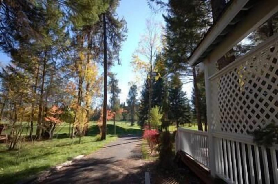 Cart path on East side of home.  Grassy yard with aerial dog run.