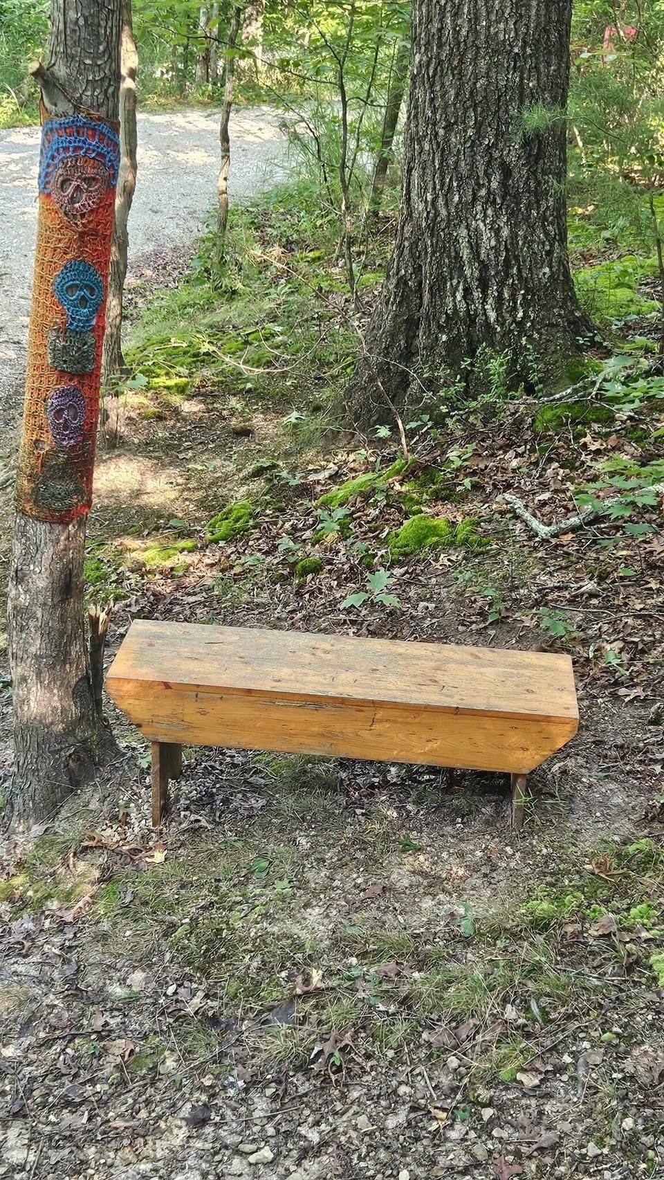 Simple wooden bench set on a forest floor with moss, dry leaves, and a tree wrapped in colorful crochet art.