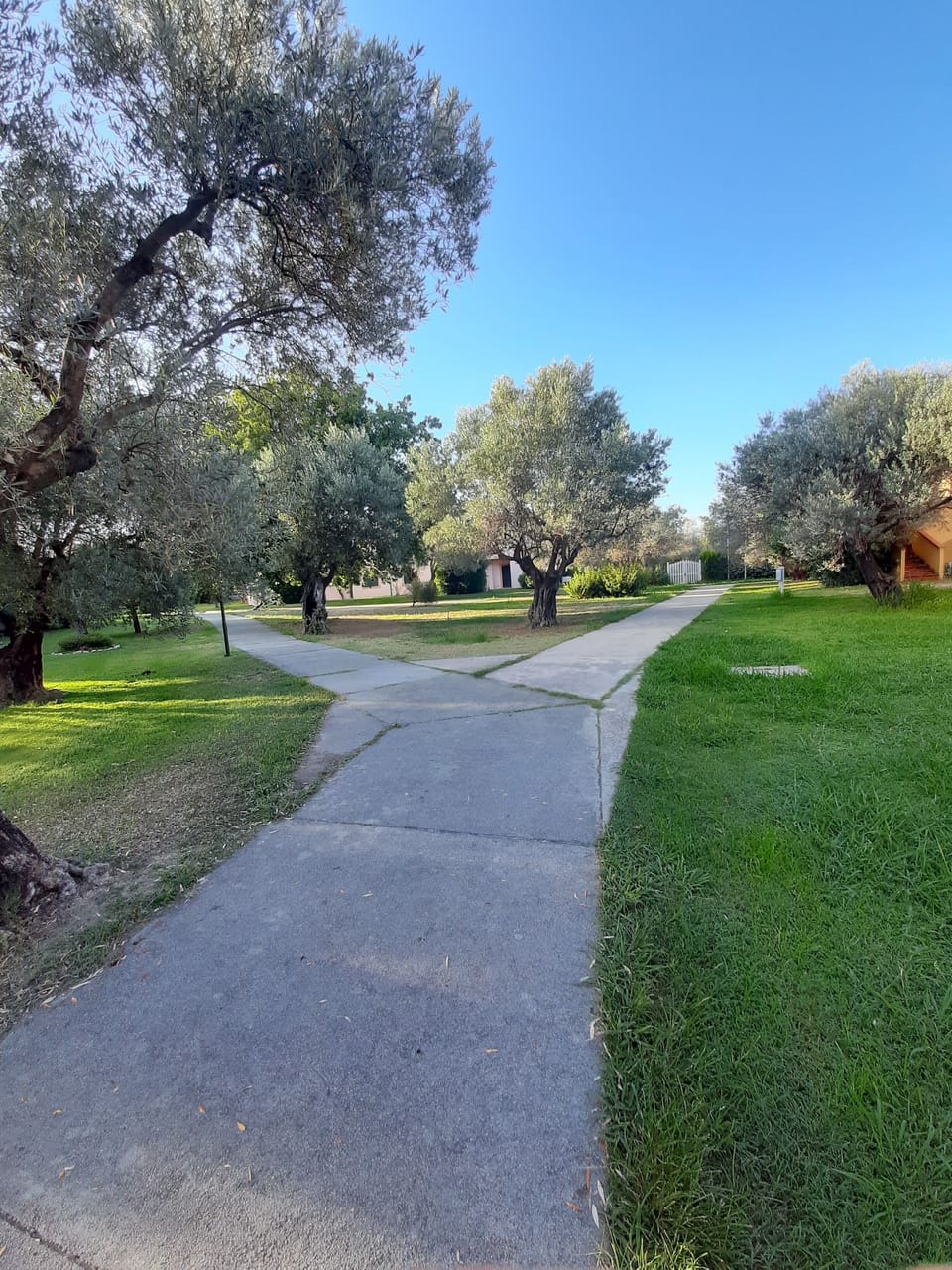 Property grounds